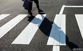 Zebra Cross Adalah Jalur Khusus Menyeberang Untuk